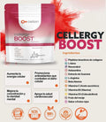 Celion Cellergy Boost - 25 Servings Antioxidant-Rich Drink for Cellular Energy & Protection - Delicious Fruit Flavor - 100g